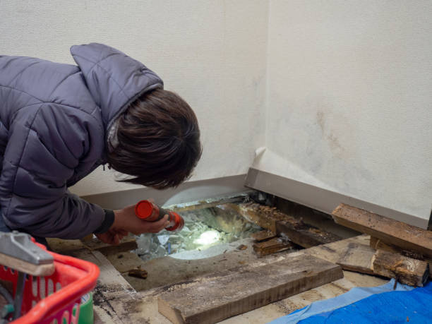 Best Industrial Mold Remediation  in Sullivan, MO