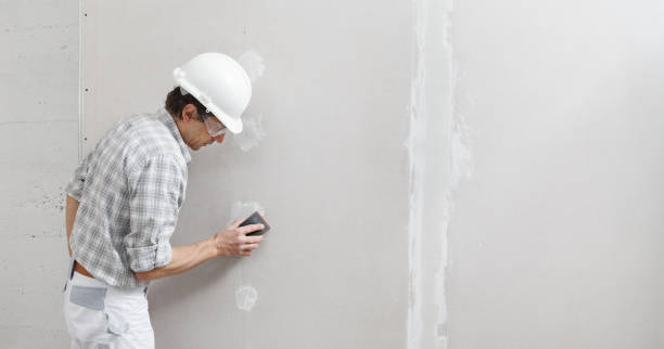 Best Attic Mold Removal  in Sullivan, MO